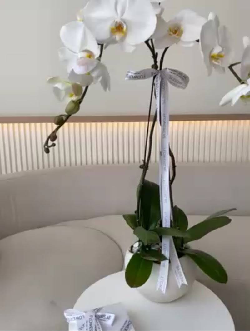Flowers.ae